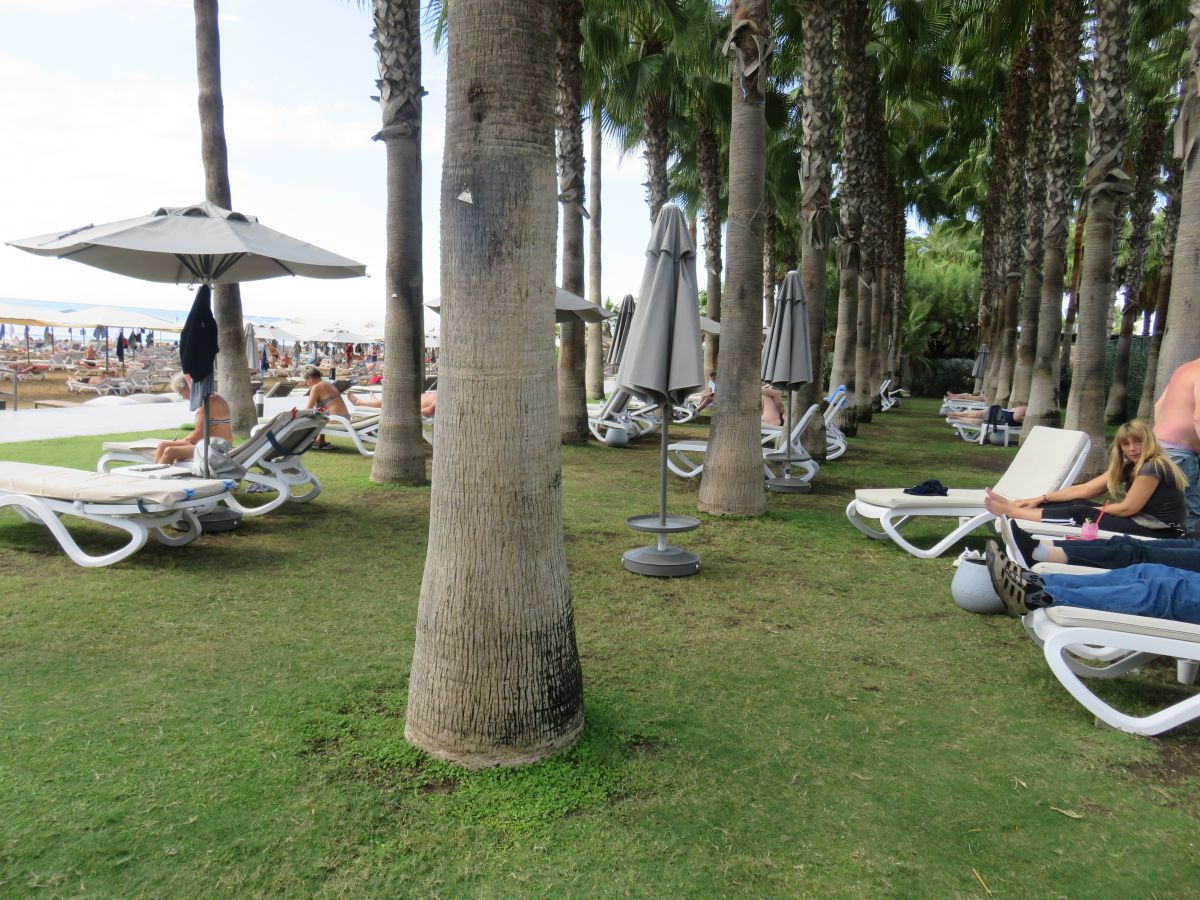 imagini hotel Miramare Beach Side